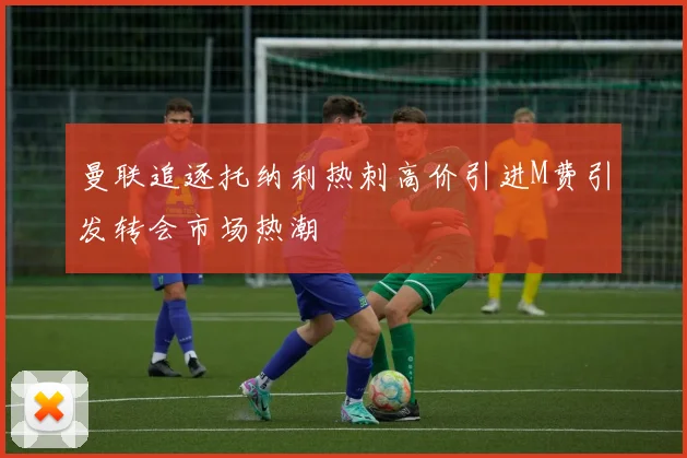 曼联追逐托纳利热刺高价引进M费引发转会市场热潮